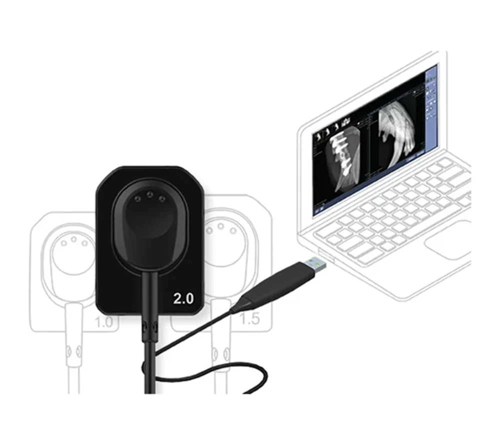 Vatech EzSensor Vet 1.0 цифровой радиовизиограф для ветеринарии