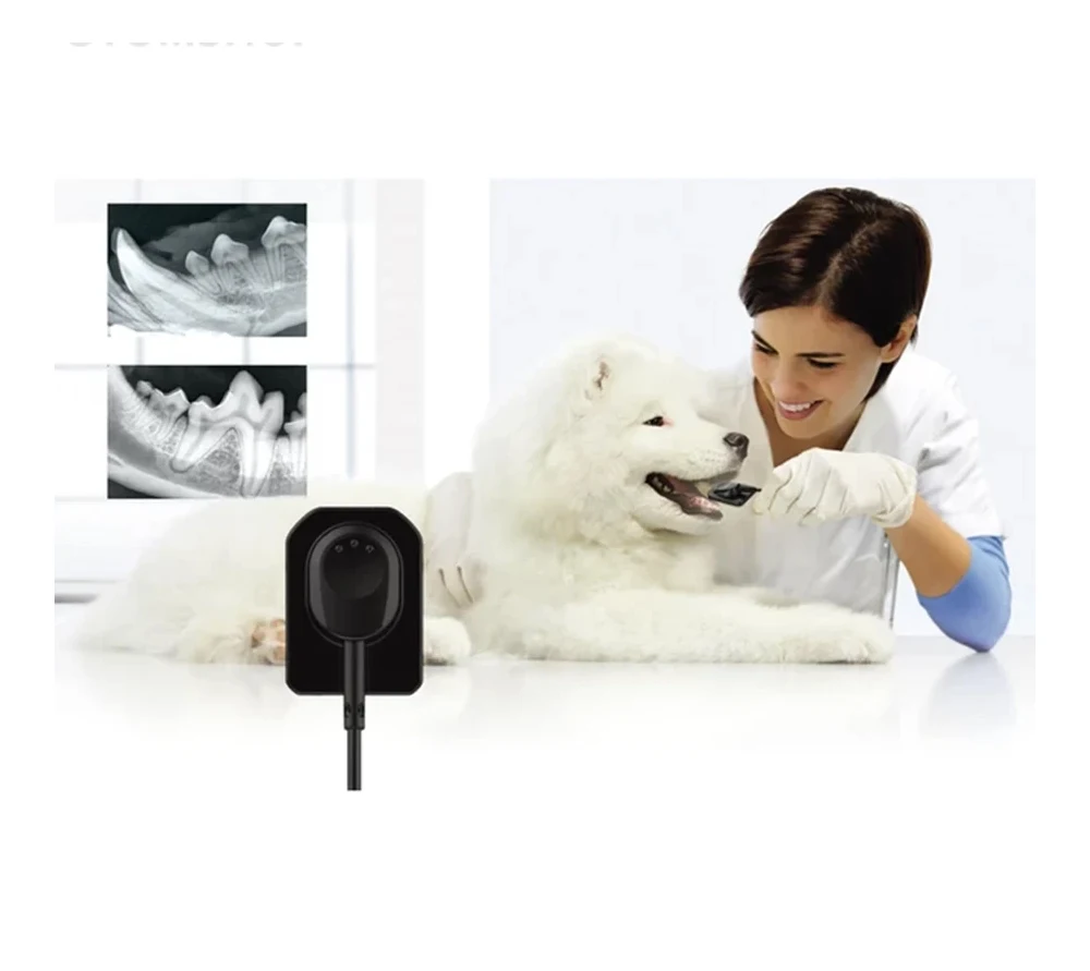 Vatech EzSensor Vet 2.0 цифровой радиовизиограф для ветеринарии